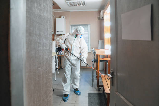 Mold Remediation for Vacation Homes in Berkshire Lakes, FL